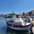 Hoe groot is Zakynthos vergeleken met Nederland? Gevolgen voor je budget